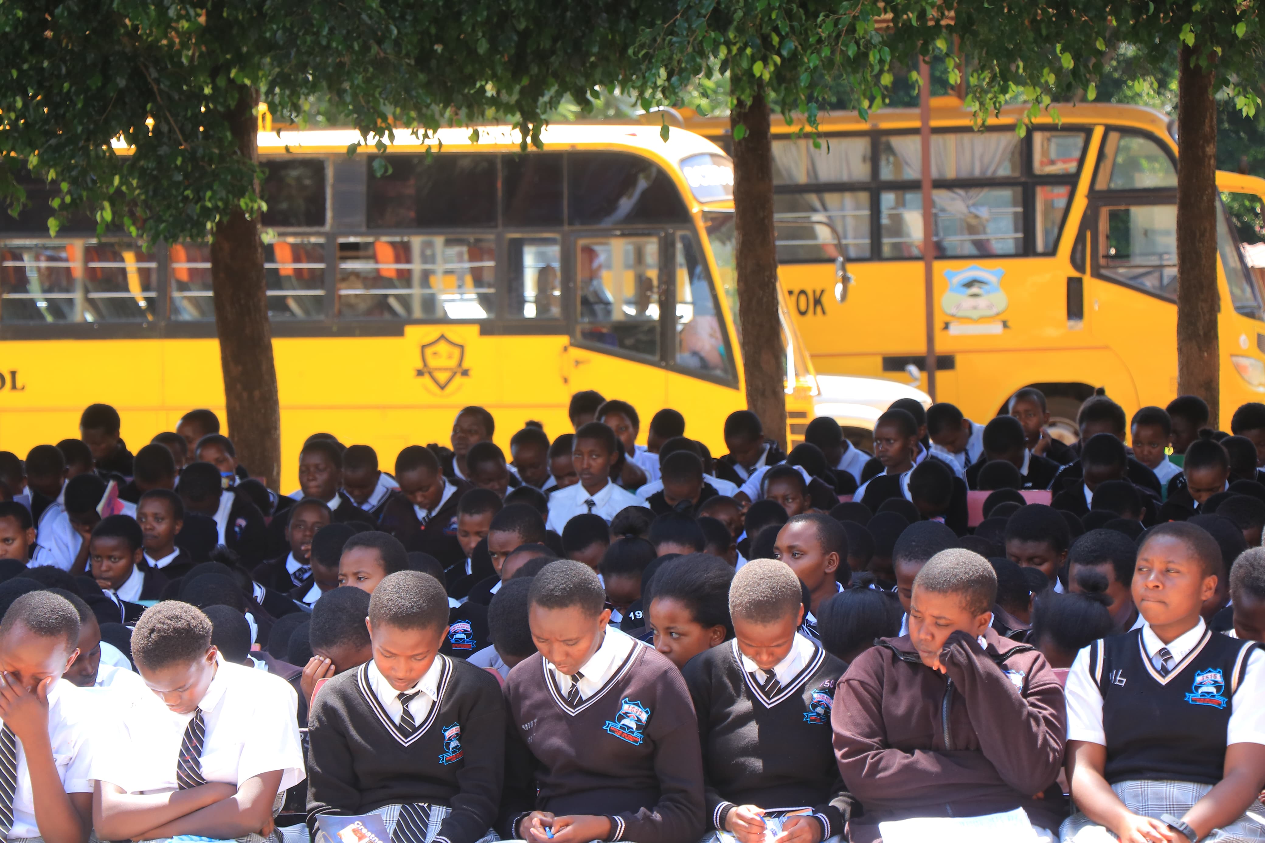 WhatsApp Image 2025-02-12 at 12.37.58 (1)